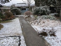 PXL_20250221_023030555.MP