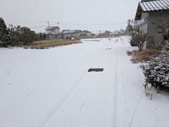 PXL_20250207_223336202.MP