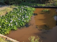 PXL_20240930_073949888