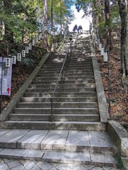 PXL_20241118_013709691