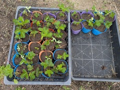 PXL_20250929_004257449