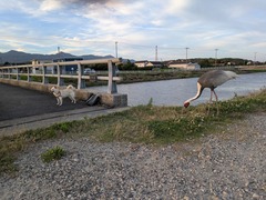 PXL_20260714_095844607