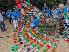 PXL_20241019_052839822