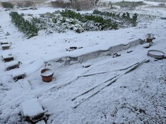 PXL_20211225_231332045.MP