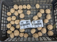 PXL_20220211_012814440