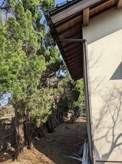 PXL_20230307_005651949