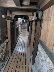 PXL_20251018_053858889