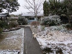 PXL_20250217_223856514