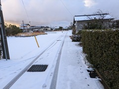 PXL_20250208_223148206