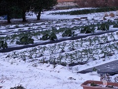 PXL_20240123_220809773