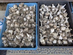 PXL_20250630_221405309