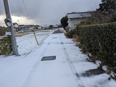 PXL_20221222_234150193