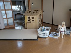 PXL_20260313_021432964
