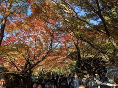 PXL_20231122_052528396