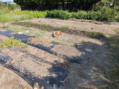 PXL_20250824_000010764