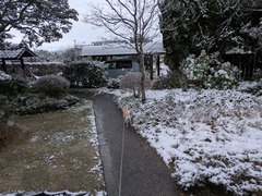 PXL_20260120_221156265.MP