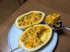 PXL_20241220_211610414