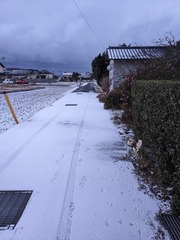 PXL_20240123_220902934