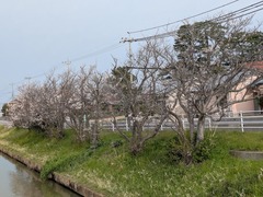 PXL_20260408_230157505