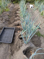 PXL_20250719_223329410