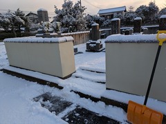 PXL_20250222_223904233