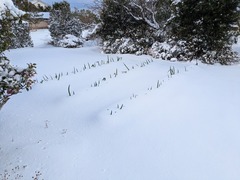 PXL_20260208_070948466