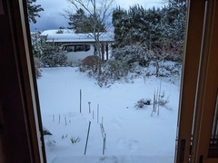 PXL_20230124_221742694