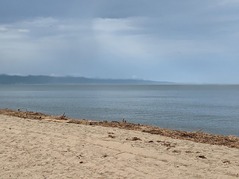 PXL_20210717_213147315.PORTRAIT