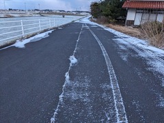 PXL_20240123_222419442