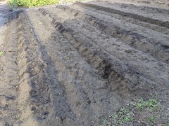 PXL_20251014_225912427