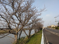 PXL_20260329_222456876