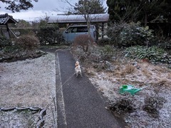 PXL_20240122_221413040 (1)