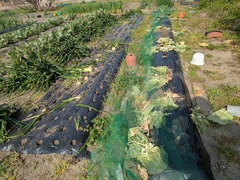 PXL_20250408_234321231