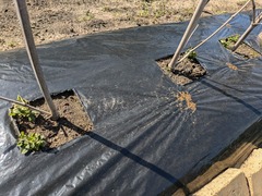 PXL_20250214_020452714