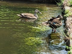 PXL_20230521_041512749