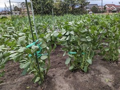 PXL_20230405_232202470.MP