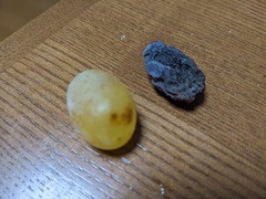 PXL_20241122_090948712