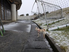 PXL_20260120_070402802.MP