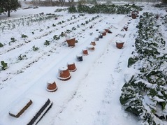 PXL_20211225_231359441