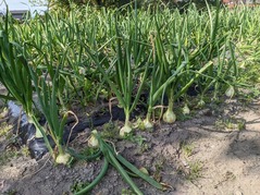 PXL_20220410_001512814