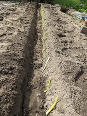 PXL_20230916_010118386