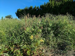 PXL_20250725_221430923.MP