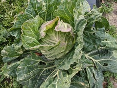 PXL_20230207_064919840