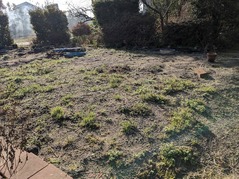 PXL_20230212_001521342