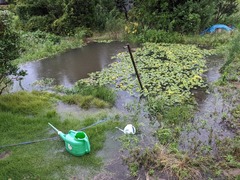 PXL_20210712_031915200 (3)