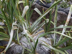 PXL_20230420_220115680