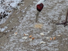 PXL_20260129_230653016