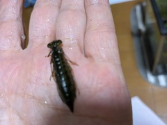 PXL_20250909_104202412