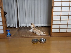 PXL_20230829_105714075