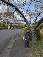 PXL_20250404_022801280.MP